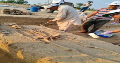 राखीगढ़ी से प्राप्त मानव कंकाल अवशेषों को उन्नत वैज्ञानिक अनुसंधान के लिए भारतीय मानवविज्ञान सर्वेक्षण को सौंपा राखीगढ़ी से प्राप्त मानव कंकाल अवशेषों को उन्नत वैज्ञानिक अनुसंधान के लिए भारतीय मानवविज्ञान सर्वेक्षण को सौंपा